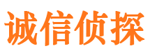 鲁山找人公司